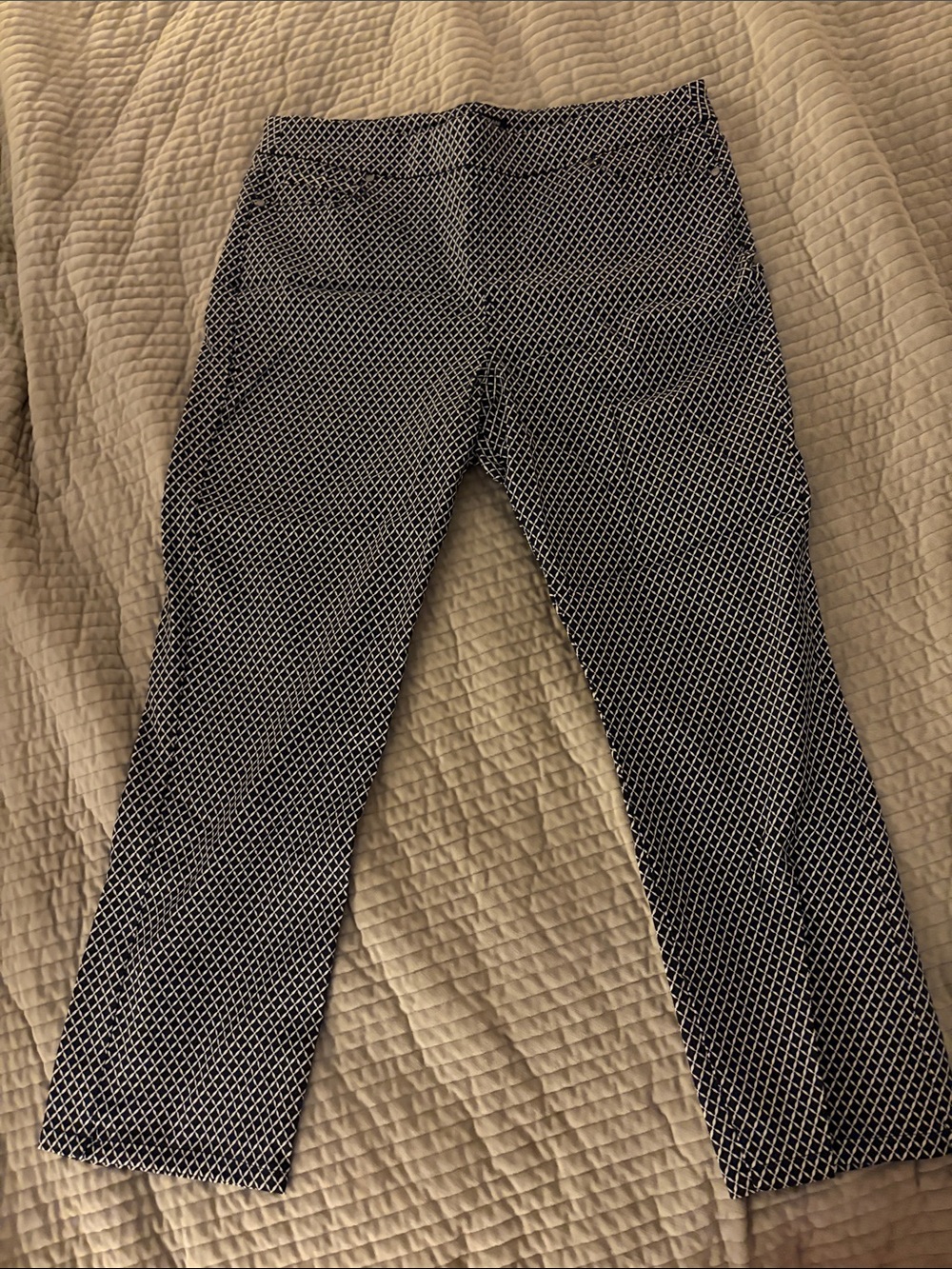 Woman’s Navy and White Patterned ankle Pants